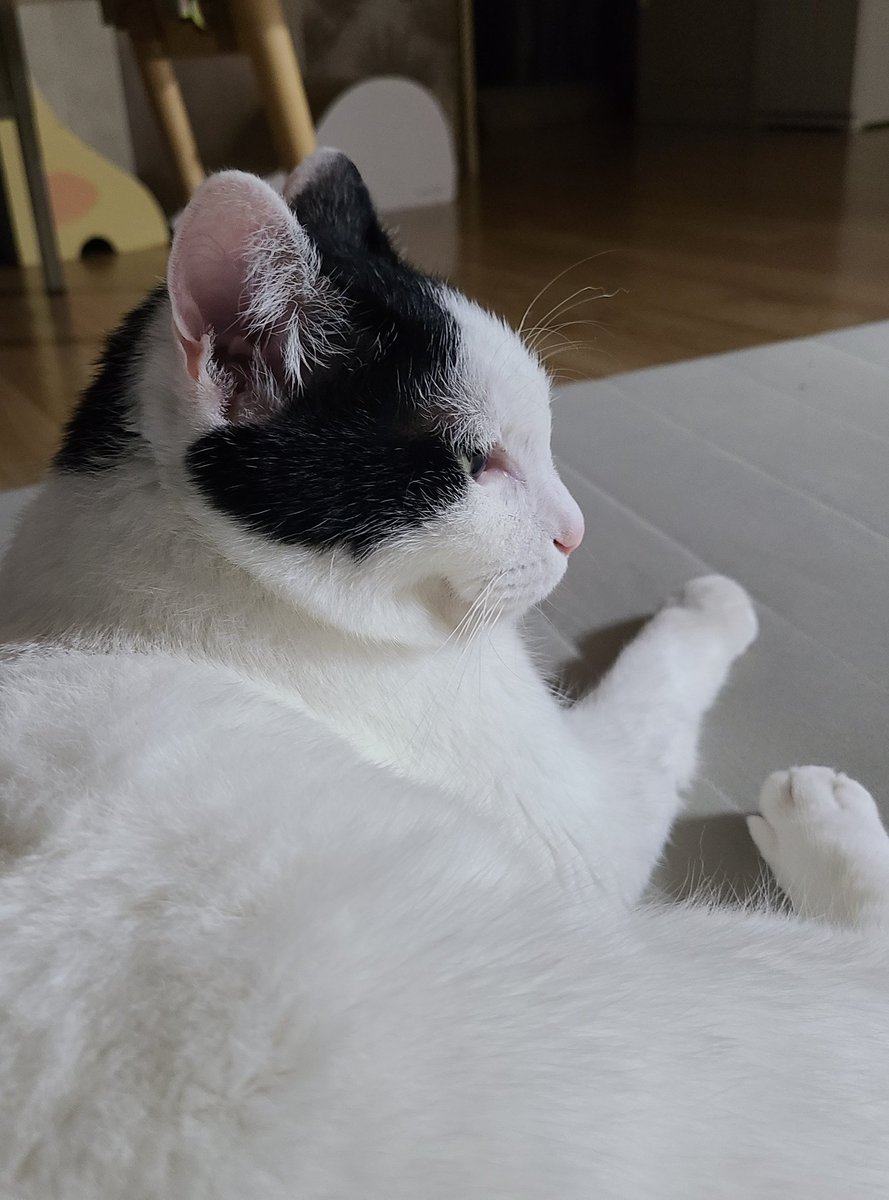 꾸랭아 넌 너무 귀 여 워