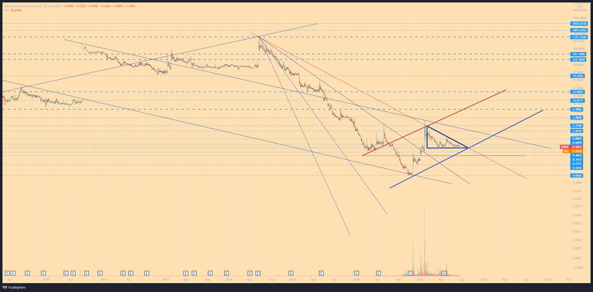 Multi-year multi-million dollar play reaches LOW RISK BUY ZONE. #NAKD $NAKD #NAKDARMY #PENNYSTOCKS #MOASS #TRADING #INVESTMENT #InvestmentIdeas