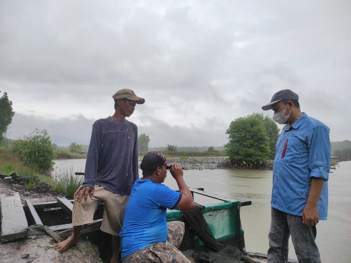 Erwansa7's tweet photo. Minggu (15/8), Erwansa, Luhkan Kutai kartanegara,  di Pokdakan Salo Sumbala Desa Muara Badak Ulu, Monitoring Demplot Tambak Silvofishery, Pengukuran kualitas air tambak dan pertumbuhan tanaman bakau. 
#GiatLuhkanSatminkalTegal
#Kukar
#YMLdeltamahakam https://t.co/KDqd1ytDbS