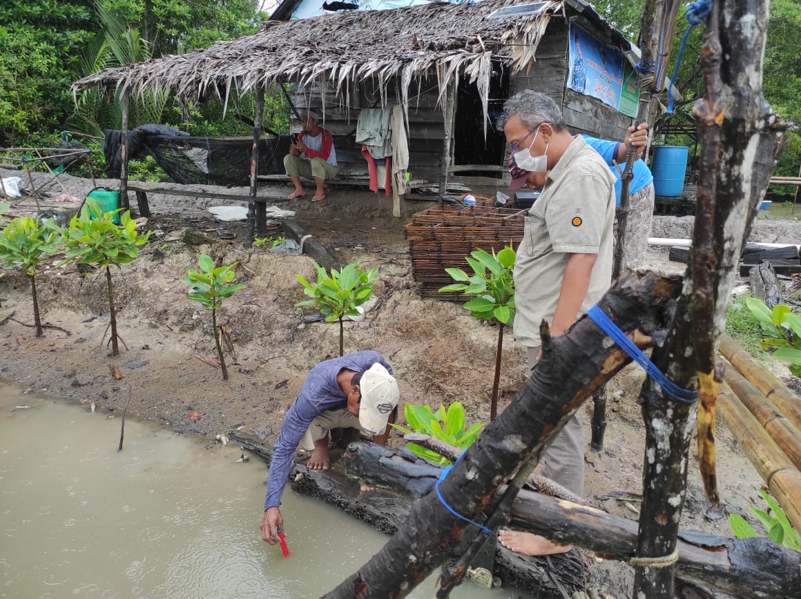 Erwansa7's tweet photo. Minggu (15/8), Erwansa, Luhkan Kutai kartanegara,  di Pokdakan Salo Sumbala Desa Muara Badak Ulu, Monitoring Demplot Tambak Silvofishery, Pengukuran kualitas air tambak dan pertumbuhan tanaman bakau. 
#GiatLuhkanSatminkalTegal
#Kukar
#YMLdeltamahakam https://t.co/KDqd1ytDbS