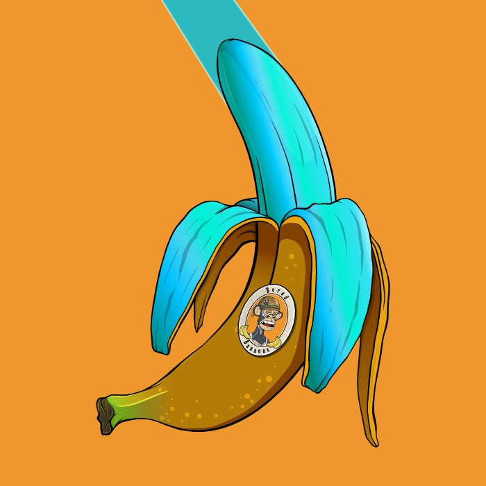 tastyabroad's tweet photo. New to NFT’s but the collection is coming along nicely 🔥 @bored_bananas @CryptoPoochPunk @slumdoges @BarnOwlzNFT https://t.co/VSOJNsRhcf
