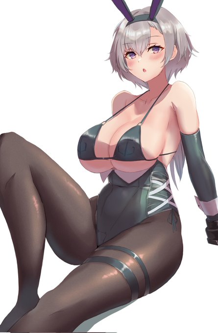 リノの差分載せるの忘れてました 