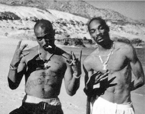 ARTIFAXING (@pedestrian) on Twitter photo 