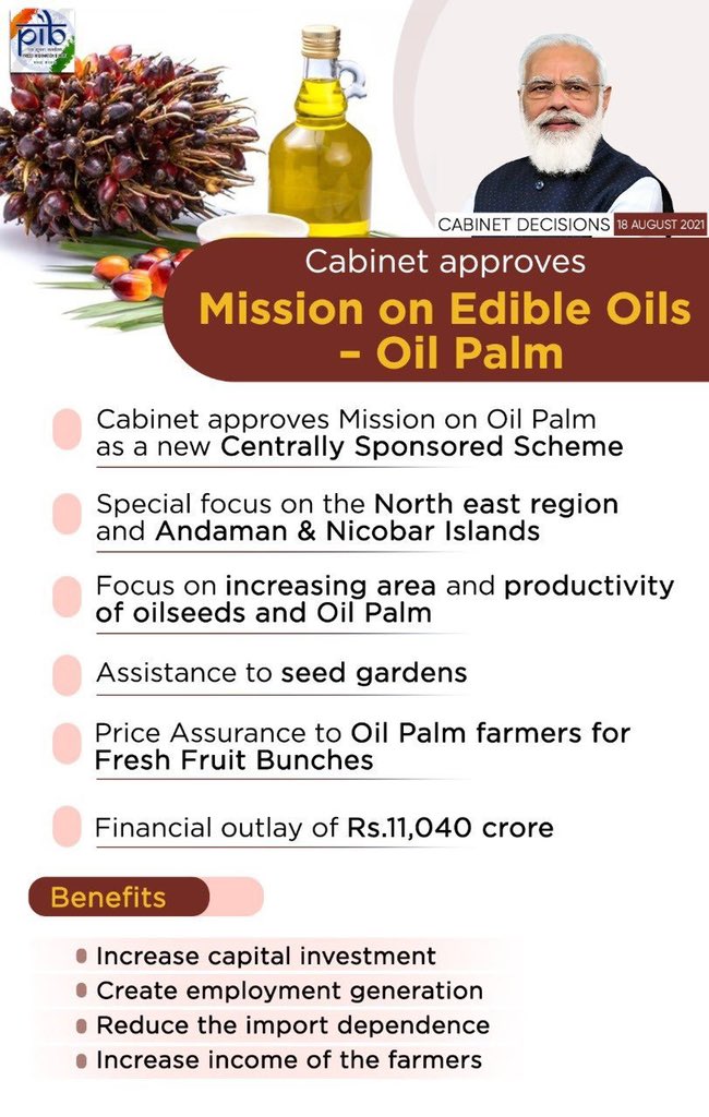 palm oil crisis