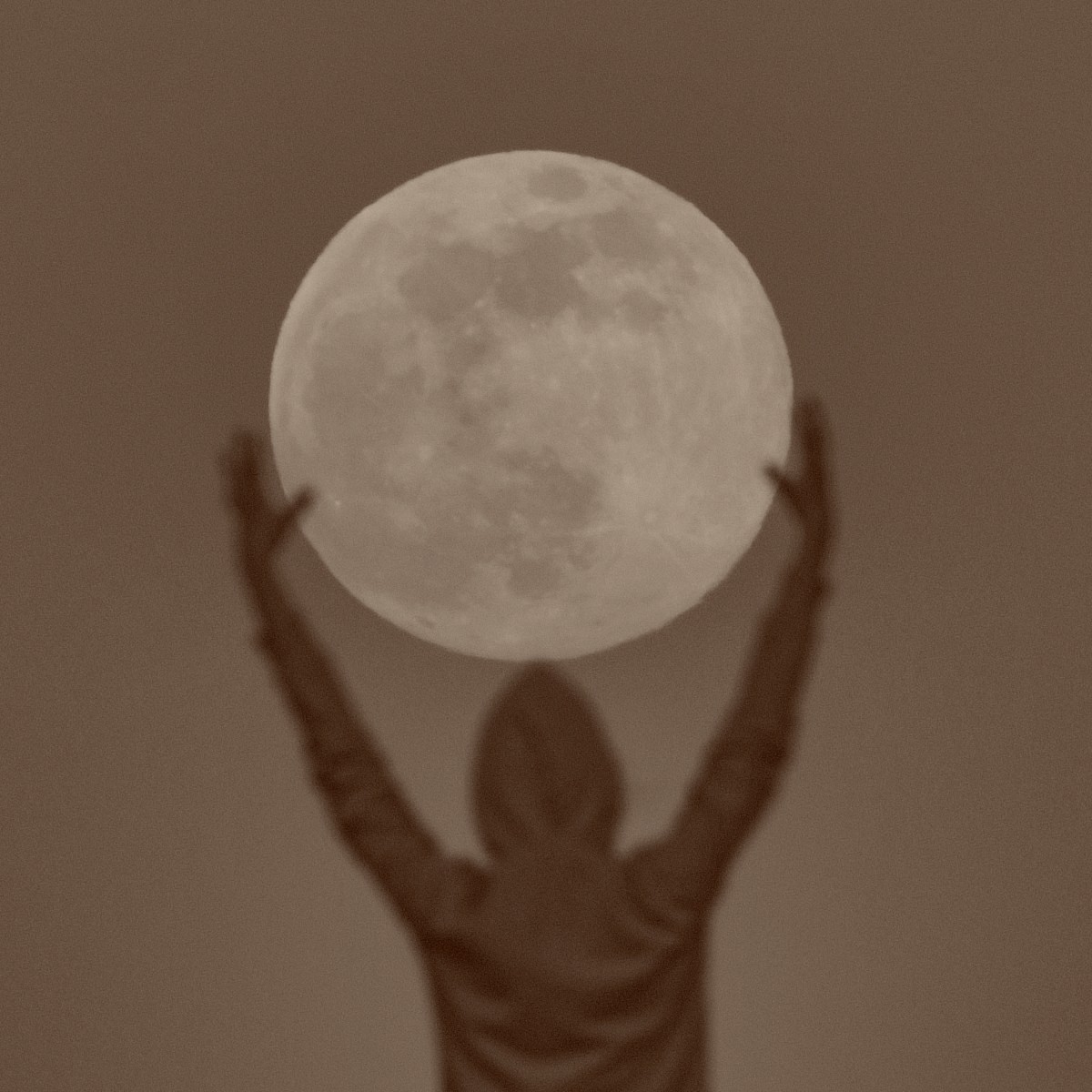 lullingcrescent's tweet image. 𝚁 𝙹. 𝙻𝚞𝚙𝚒𝚗. (𝙼𝚘𝚘𝚗𝚢)

'𝙽𝚘- 𝙸 𝚊𝚖 𝚗𝚘𝚝 𝚐𝚘𝚒𝚗𝚐 𝚝𝚘 𝚟𝚒𝚜𝚒𝚝 𝚎𝚒𝚝𝚑𝚎𝚛 𝚘𝚏 𝚢𝚘𝚞 𝚒𝚗 

𝚙 𝚛 𝚒 𝚜 𝚘 𝚗.' 

𝚖𝚊𝚛𝚊𝚞𝚍𝚎𝚛 𝚎𝚛𝚊 / 𝚜𝚑𝚒𝚙𝚜 𝚠𝚒𝚝𝚑 𝚌𝚑𝚎𝚖 / 𝚖𝚊𝚝𝚞𝚛𝚎 𝚝𝚑𝚎𝚖𝚎𝚜

𝚁𝚃?