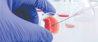 Journal of Fertilization: In Vitro - IVF-Worldwide tweet media