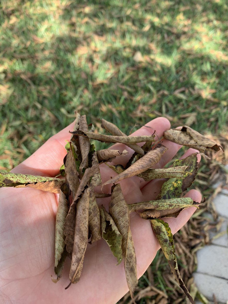 Amber Lane is editing 🧚‍♀️ tweet media