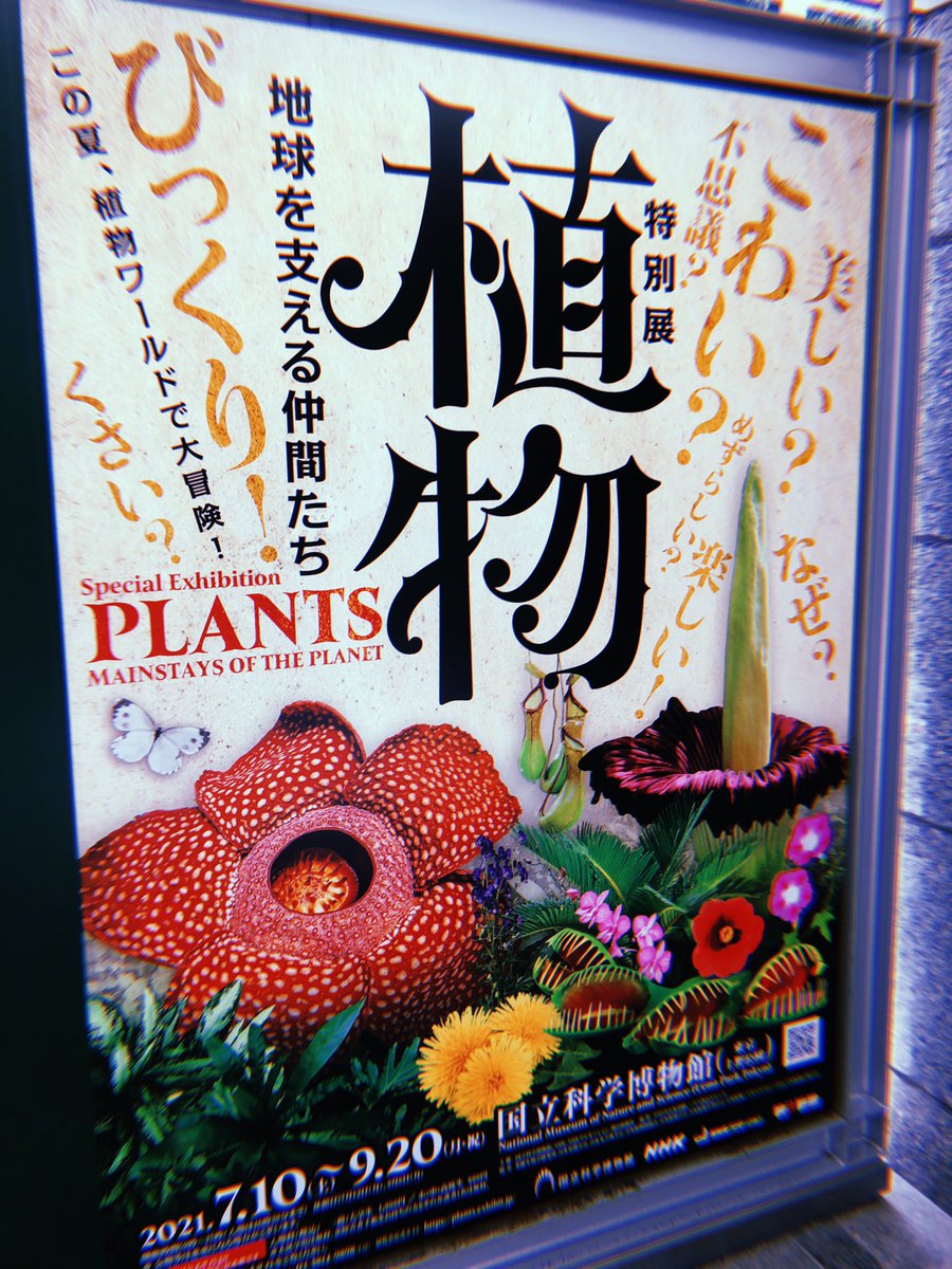 朝から博物館行って勉強したり美味しいご飯食べて優雅な夏を満喫してたはずなんだけどな…🤔🤔🤔 