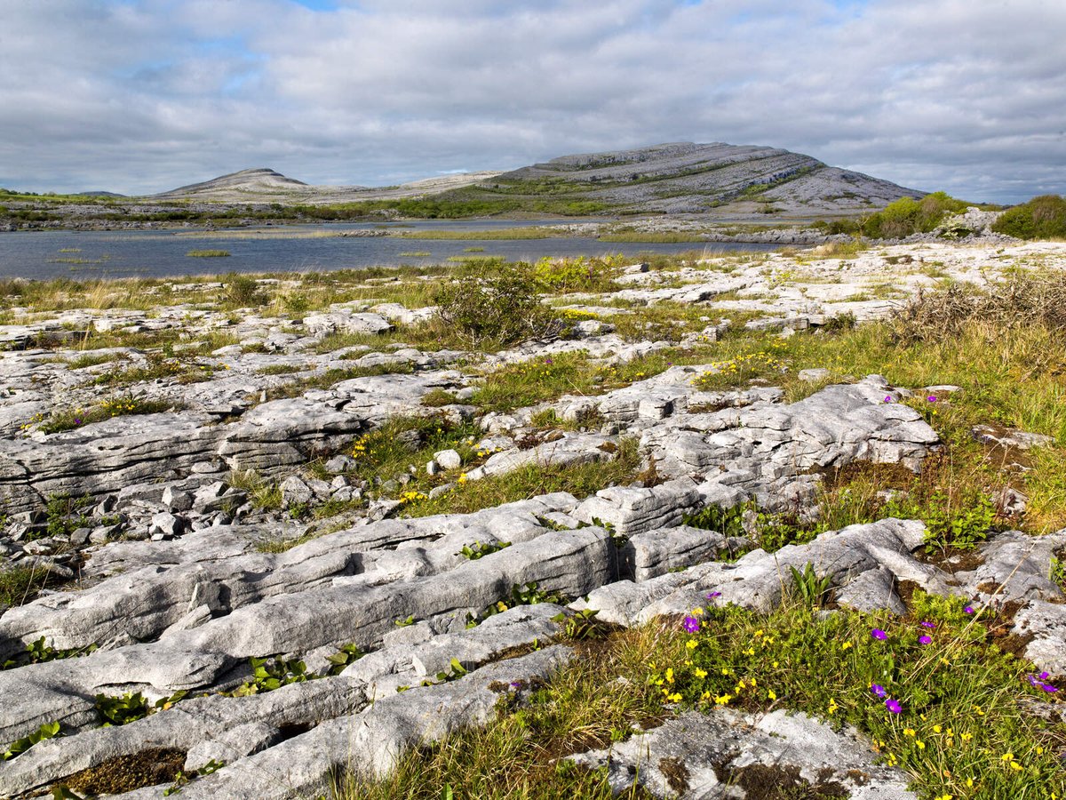 chtoursIre's tweet photo. The Burren in County Clare is internationally famous because of its beautiful limestone landscapes and the remarkable flora of the region as well as its rich archaeological heritage including tombs, ring forts and caves.
#Clare #Ireland #WildAtlanticWay #loveireland #ClareIreland https://t.co/5WSOSW9Dkr