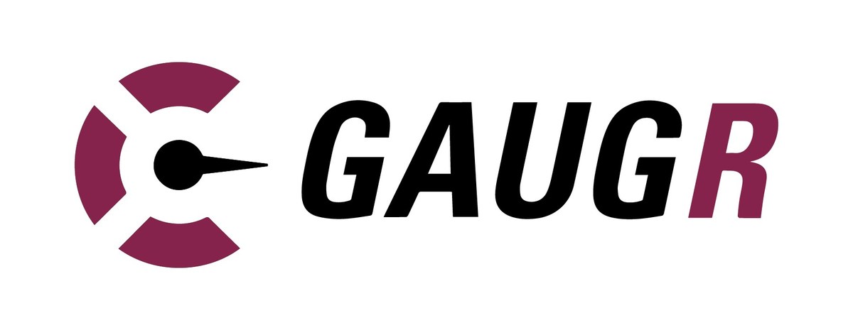 GAUGR x STRATEGIC VISIONS Sign Partnership, Fusing Technology with Psychology in order to Disrupt the Consumer Analytics Industry.. RIP to the conventional "Like" button! DON'T JUST LIKE IT, GAUGE IT..! @e40 @GAUGR_ prn.to/3ATd5RG