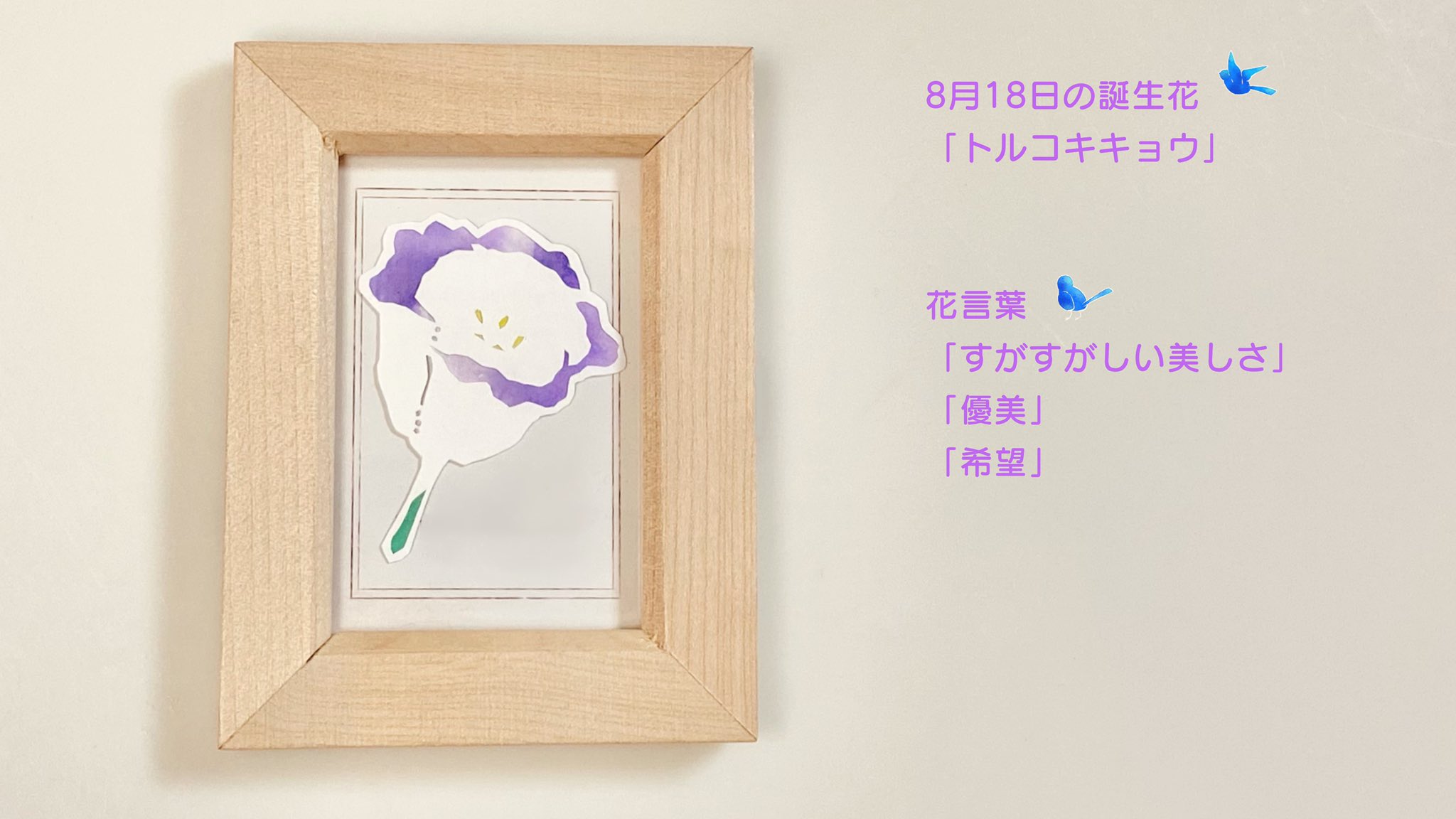ふわりん にひゃくさんじゅういちりんめ 8月18日の誕生花 トルコキキョウ を切りました 花言葉は すがすがしい美しさ 優美 希望 です 本日がお誕生日のフォロワー様 いらっしゃいましたら おめでとうございます ﾉ
