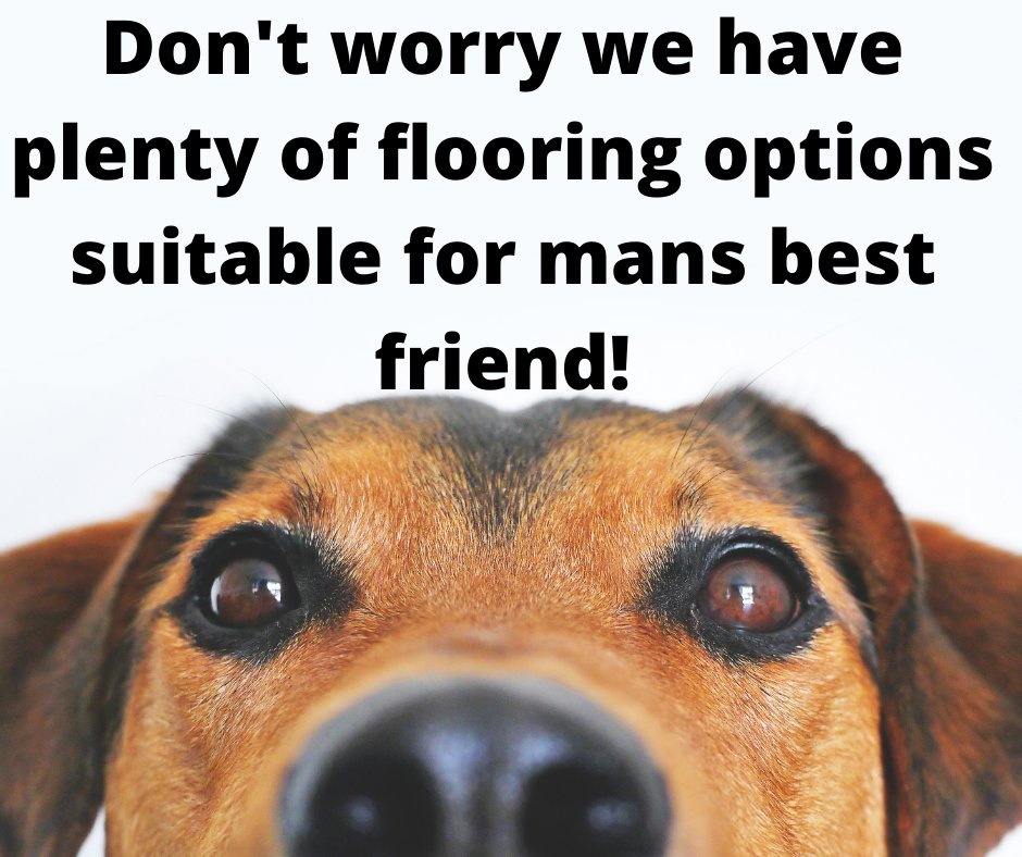 We have plenty of pet friendly flooring options either pop into our store and speak to one of our sales team or visit our website thecarpetstop.co.uk/store/