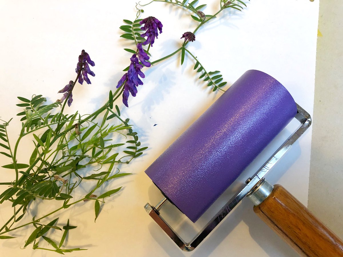 islayprints's tweet photo. Today Iβm printing some Tufted Vetch. All our cards and prints of these are sold out, so a reprint is very much needed.
#inspiredbythewild #wildflowers #tuftedvetch #vetch #islay #isleofislay #wildflowerart #linocut #linoprint #printmaking #justacard #handprinted #art #cards https://t.co/6d6IhEFuUV