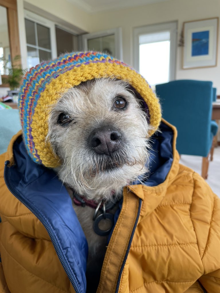 Hat’s finished. Got the perfect model.