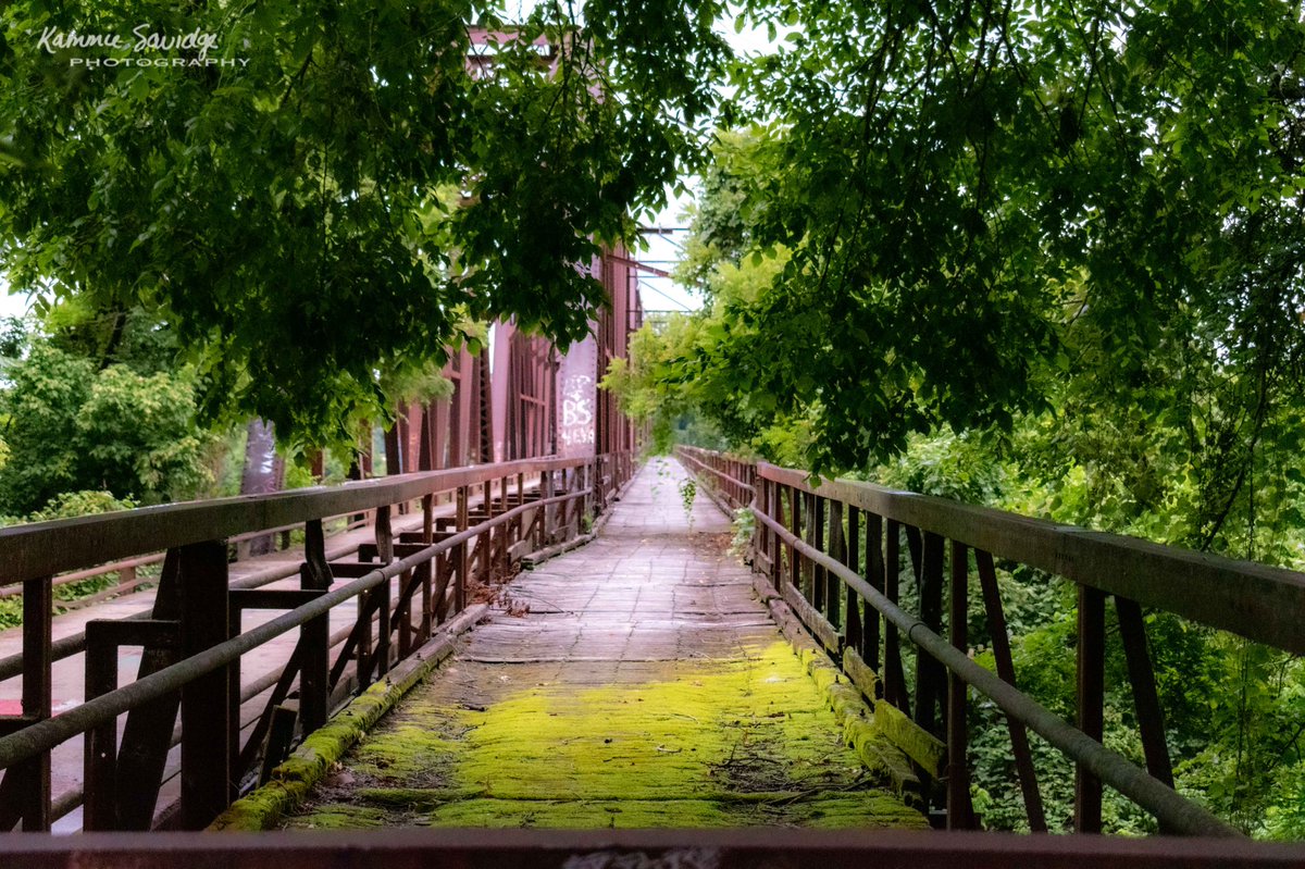 savidge_kammie's tweet photo. “Aging History”
#kammiesavidgephotography #naturetakesover #outdooradventures #historicalbridge #wagonbridge #exploringtexas #beautifulbridges #piecesoftexas #exploringoklahoma #frozenintimephotography #beautifulplaces #myhappyplace #photographyisart #naturelover #outdoorlove https://t.co/zME2droXTH