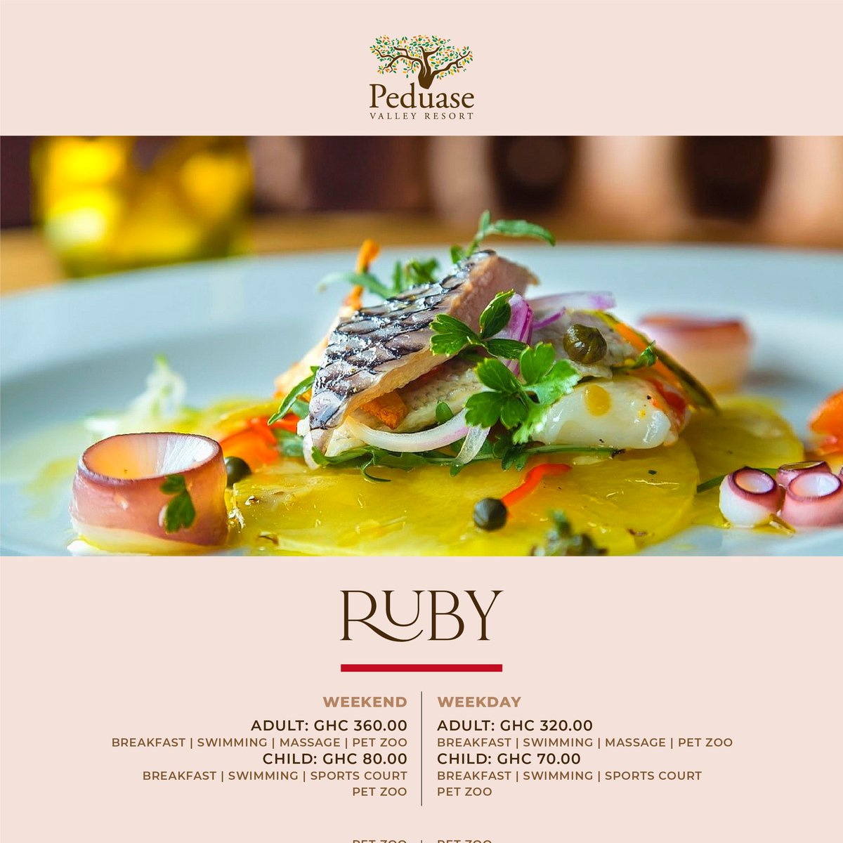 PeduaseValley's tweet photo. โจLooking for that special all in one walk-in packages for a day visit with family and friends? The Sapphire, Ruby and Emerald packages presents a great experience to all guests
โ๏ธ 0540125554 or 0540125555
#peduasevalleyresort #walkindaypackages #experiencepvr #livelife #aburi https://t.co/7VTkSWejo3
