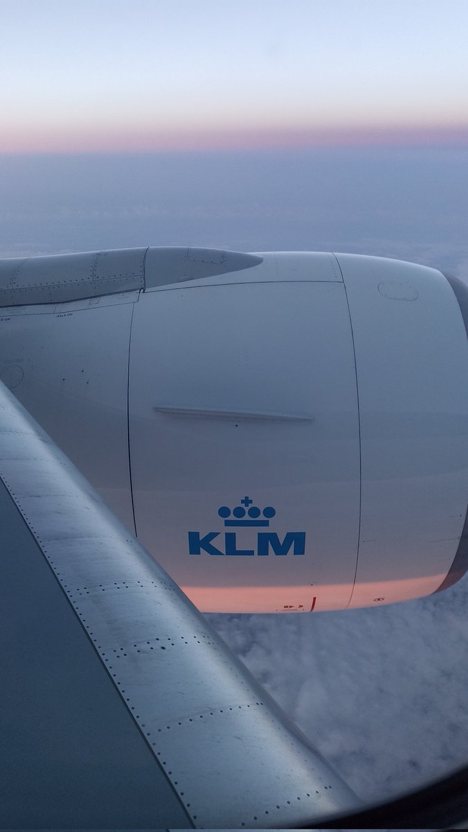 wazzuppets's tweet photo. @KLM https://t.co/ncLCRNEQGX
