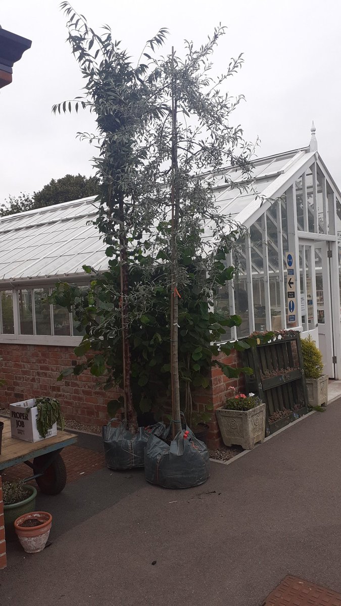 Thanks <a href="/GreenMileTrees/">Green Mile Trees</a> trees, they have safely arrived at <a href="/dms_dmrc/">DMRC-Stanford Hall</a> ready to travel to the NEC on saturday.
<a href="/HighGroundBoss/">Anna Baker Cresswell</a>
