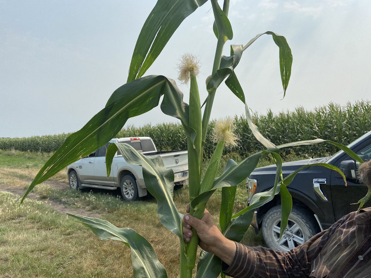 Shane Terry tweet media