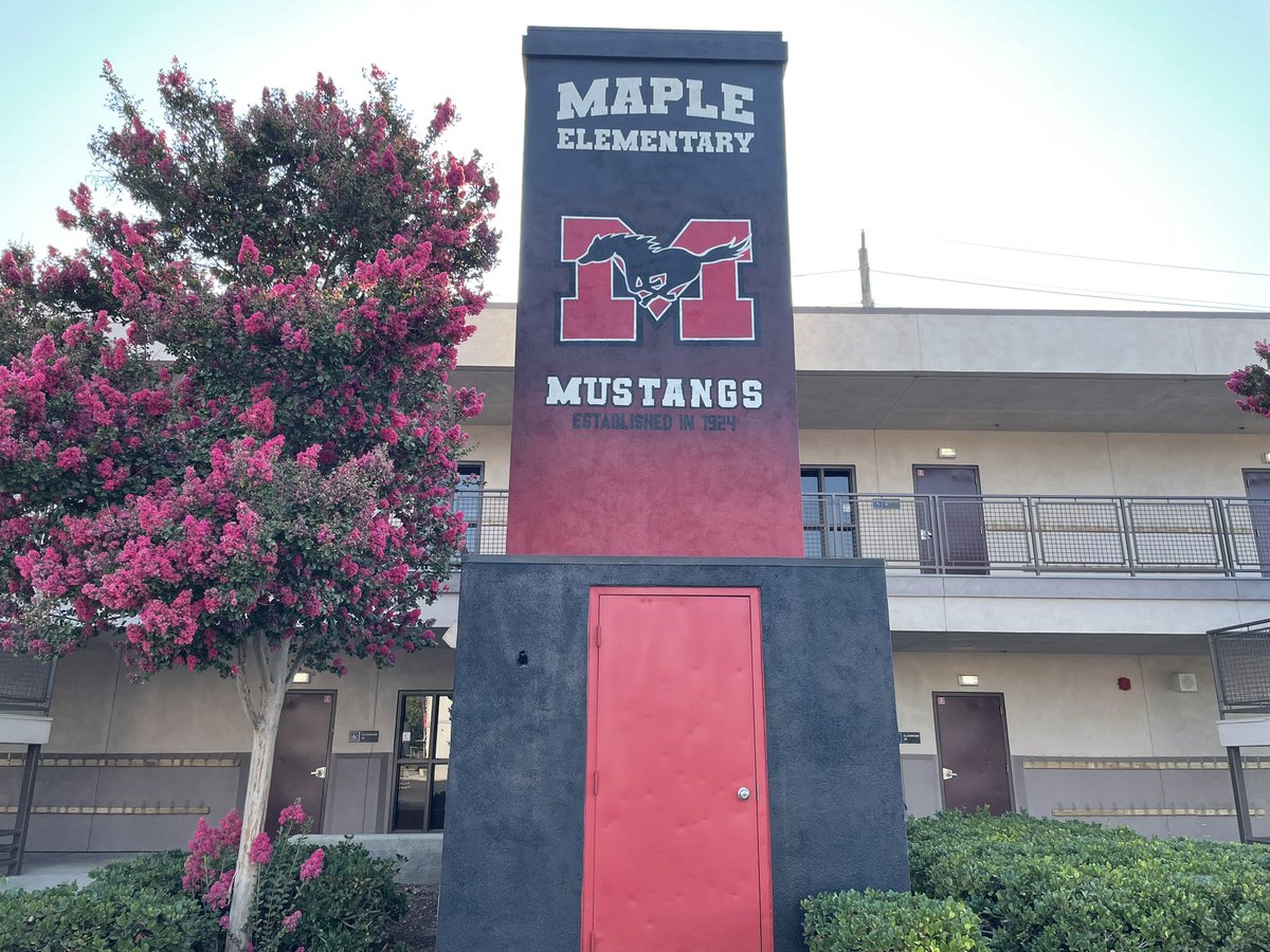 Amy Chung tweet media