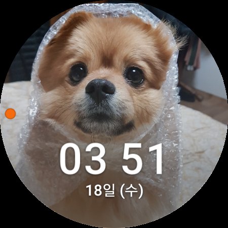 히히 나도 우리 애가 지령내려준다