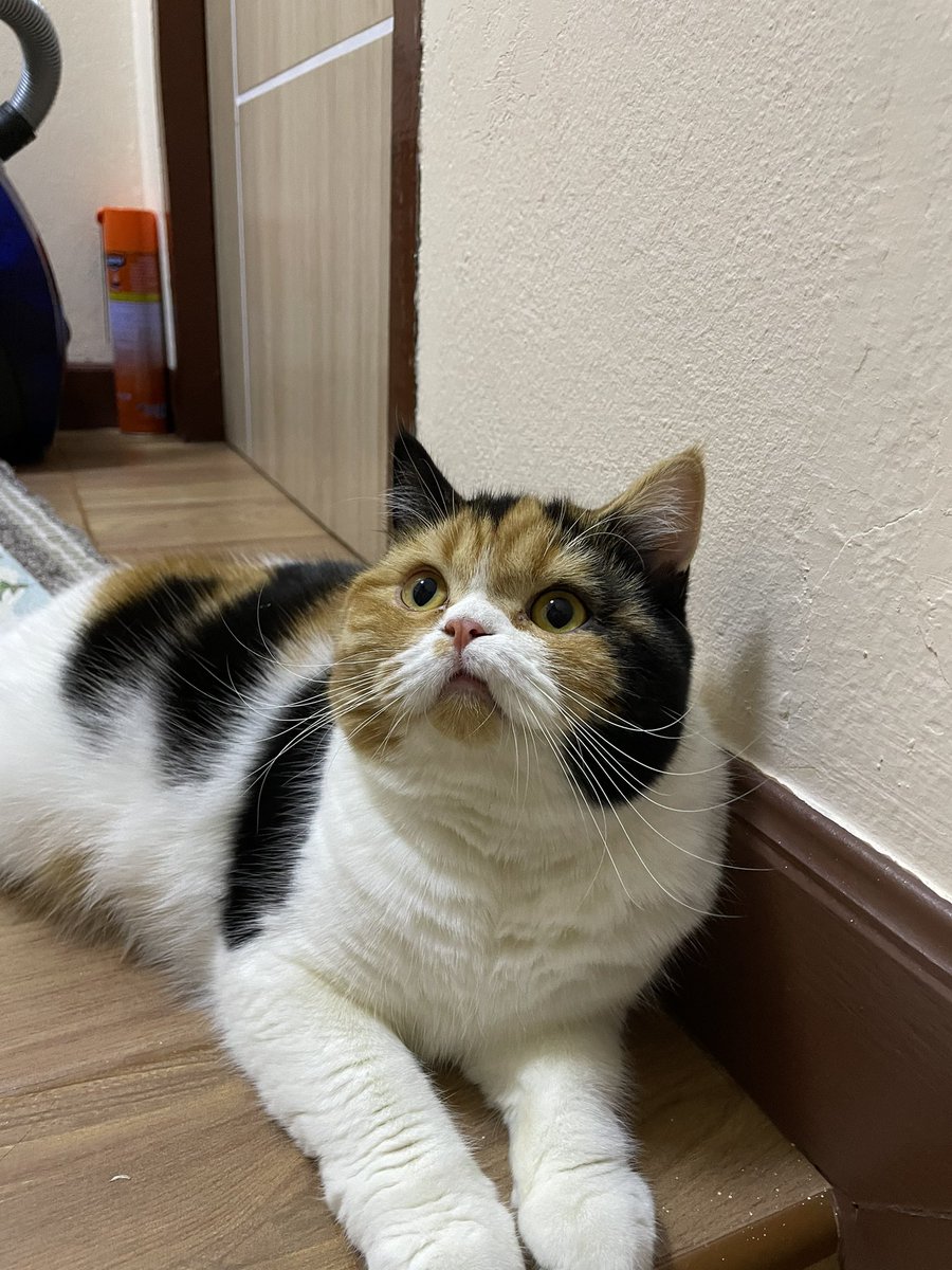 เนี่ยชอบทำปากดื้อ