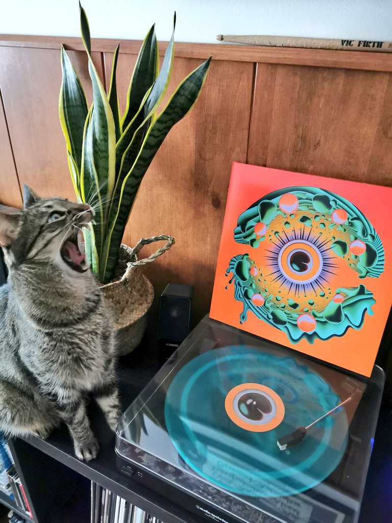 Abstracción: *suenan*
Orión: DALE PERRO