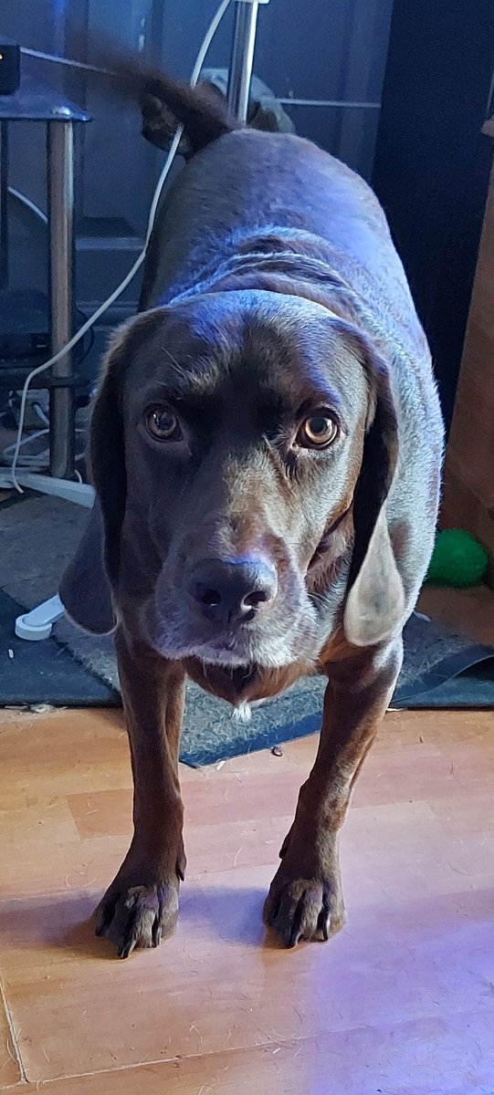 AndTorran's tweet image. 