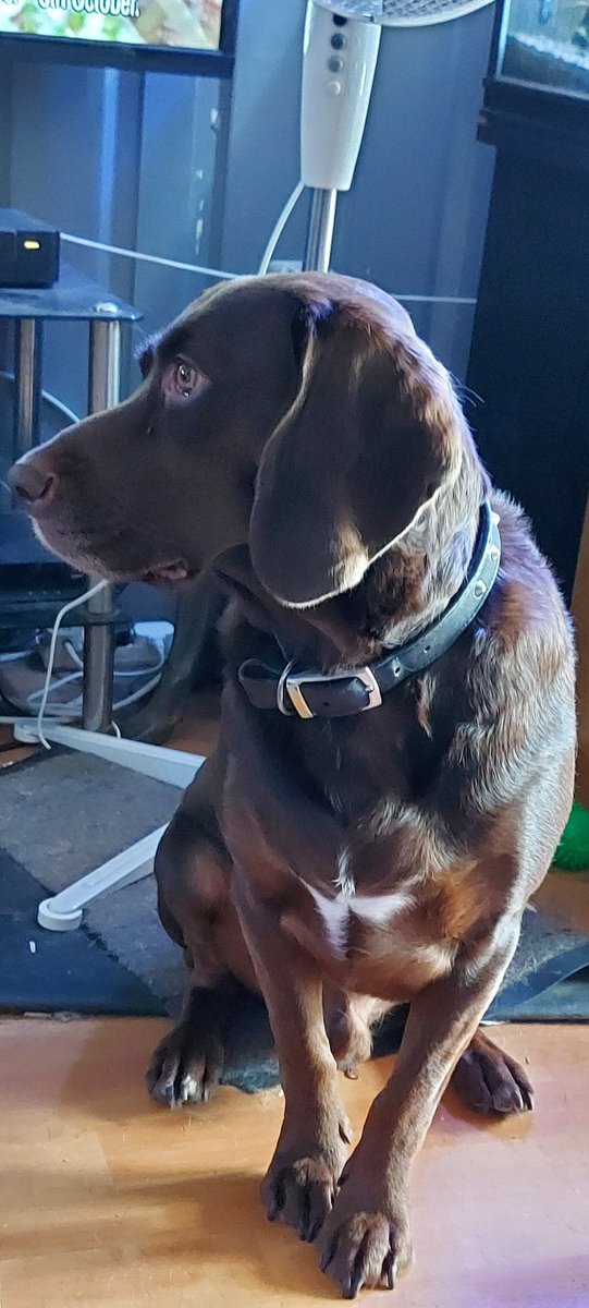 AndTorran's tweet image. 