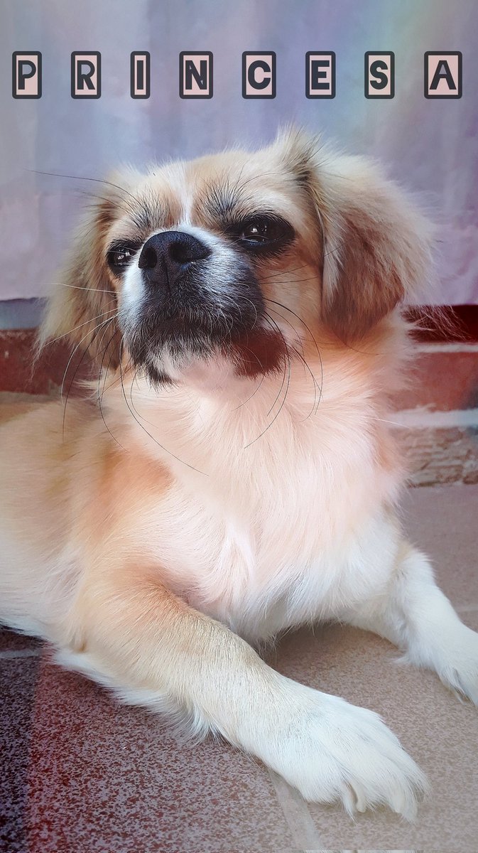 carlitafabiola1's tweet photo. @1theK @CRAVITYstarship #크래비티_트친상견례 Can you say hi to my princess? it's birthday https://t.co/VBVhU1hNWv