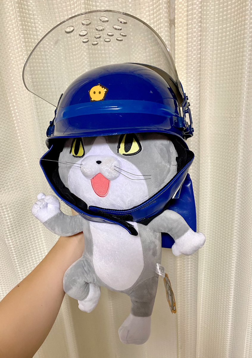 現場猫のぬいぐるみが人間用ヘルメットを被せるのにもピッタリと聞いて機動隊のヘルメットを試してみたんだけど想像以上にしっくりきて草 Togetter 現場猫のぬいぐるみが人間用ヘルメットを被せるのにもピッタリと聞いて機動隊のヘルメットを試してみたんだけど想像以上にしっくりきて草 Togetter