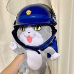 現場猫のぬいぐるみが人間用ヘルメットを被せるのにもピッタリと聞いて試してみたんだけど、想像以上にしっ…