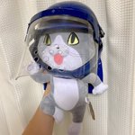 現場猫のぬいぐるみが人間用ヘルメットを被せるのにもピッタリと聞いて試してみたんだけど、想像以上にしっ…