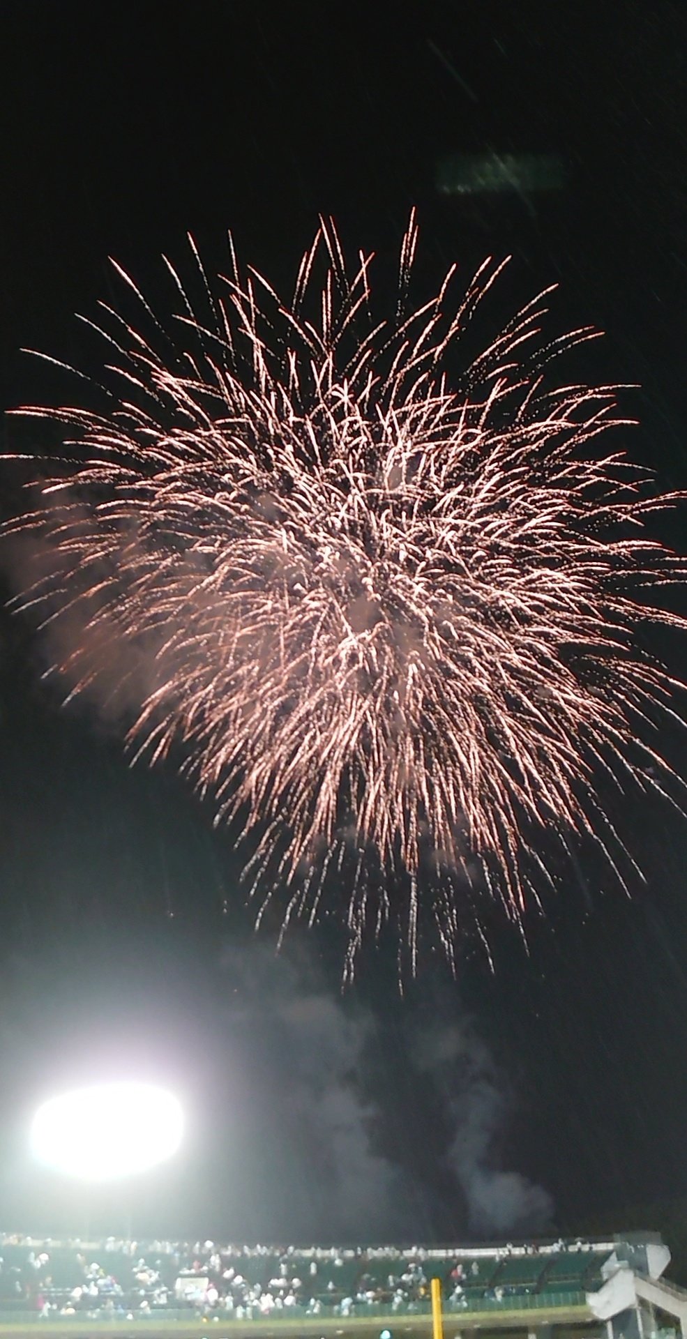 オリックスバファローズファンと繋がりたい Twitter Search Twitter