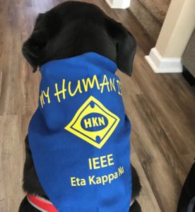 NancyOstinHKN's tweet image. My Oreo proudly in his HKN bandana!  #IamHKN #alumninewsletter @IEEE_EtaKappaNu