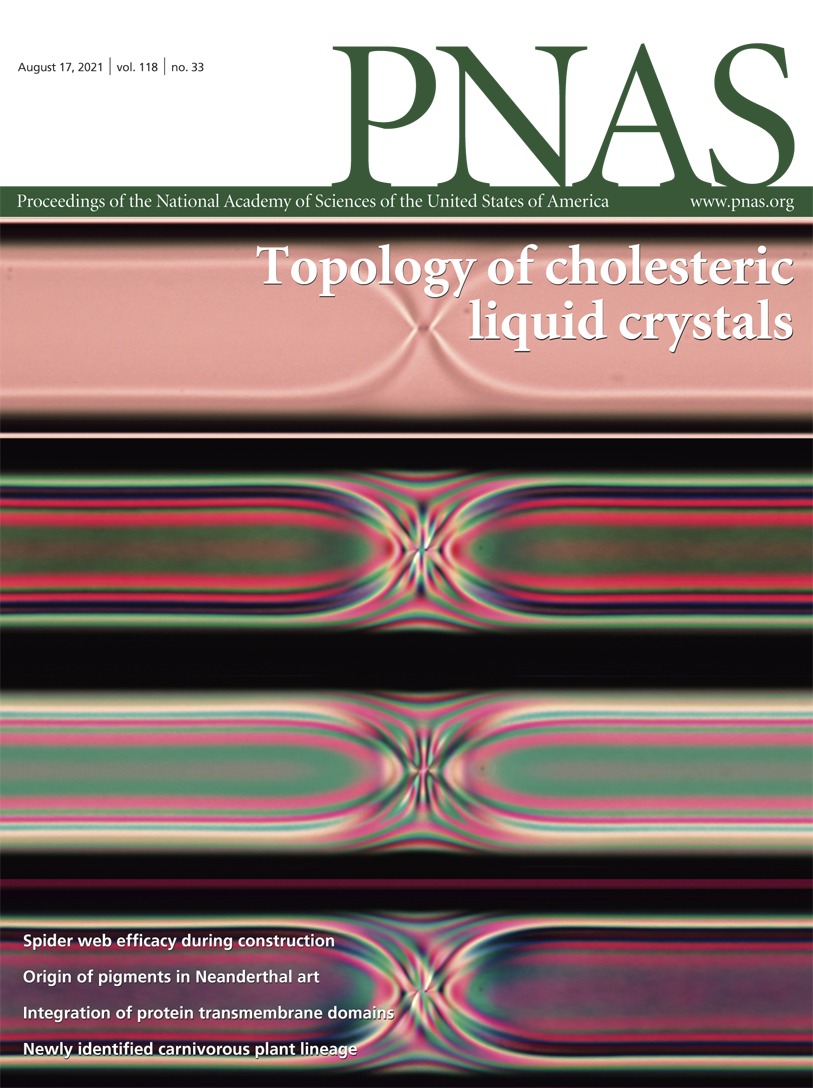 In this issue: Pigment composition in Neanderthal cave paintings, mechanics and efficacy of spider web construction, and volcanism and oxygen in the Archean Eon. ow.ly/FH5250FTkZ0