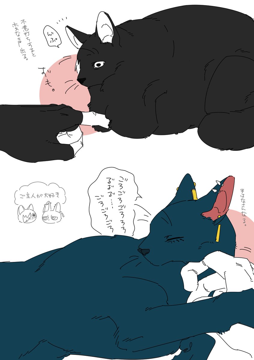 🐈 