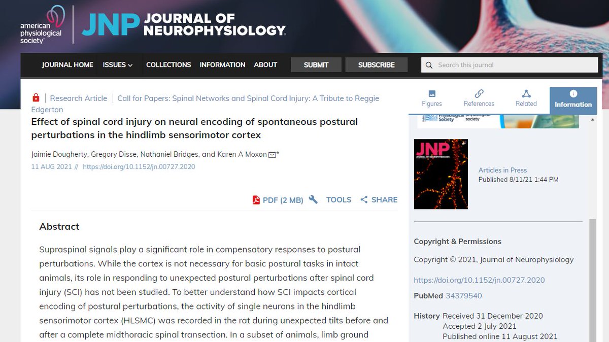 JNeurophysiol's tweet image. #ArticlesinPress -"Effect of spinal cord injury on neural encoding of spontaneous postural perturbations in the hindlimb sensorimotor cortex"
Jaimie Dougherty, et al.
#Electrophysiology #Neuralencoding #Neuroscience
@ucdavis @DrexelUniv @wpafb
ow.ly/cK4050FQGN5