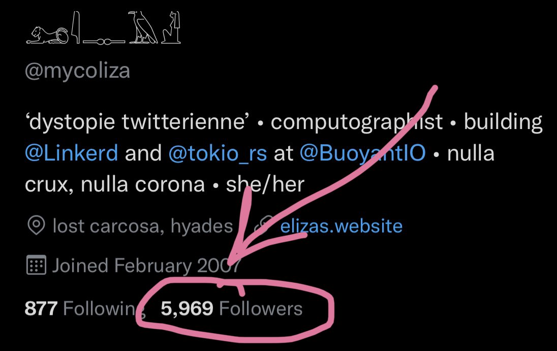 screenshot of my twitter bio, showing that i now have 5,969 followers
