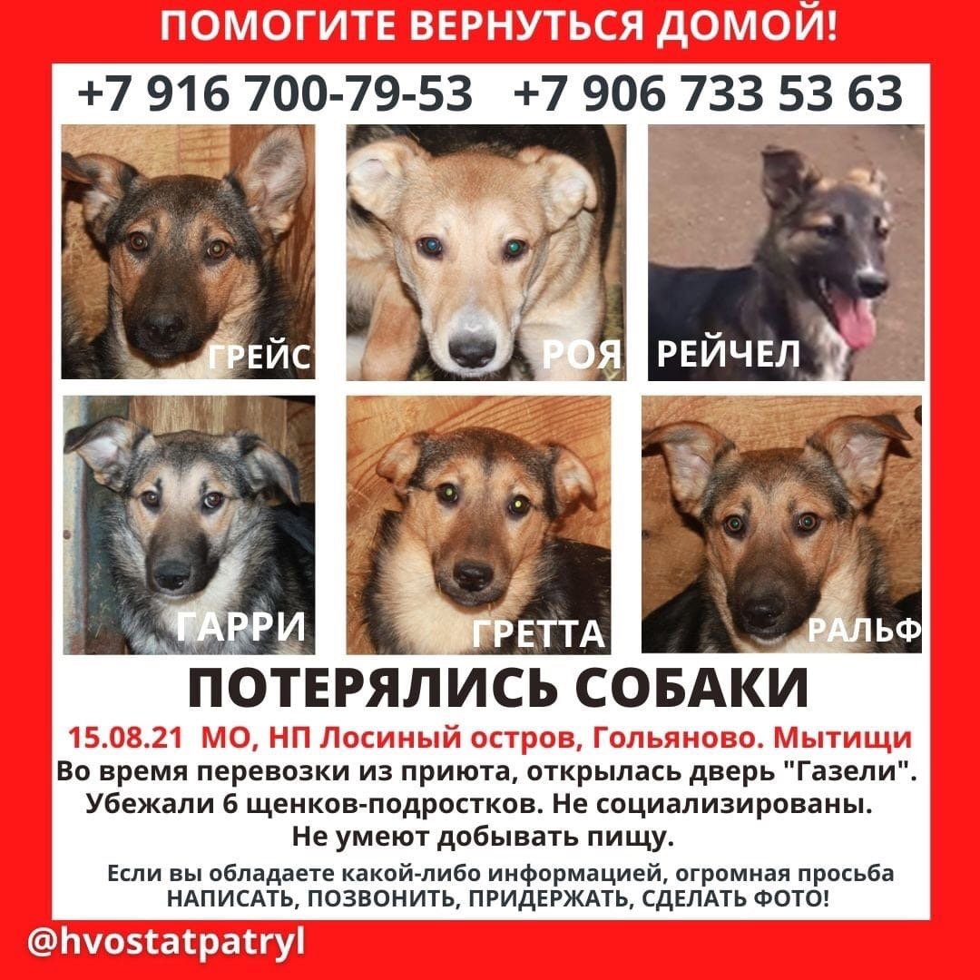 Мила Пим tweet media