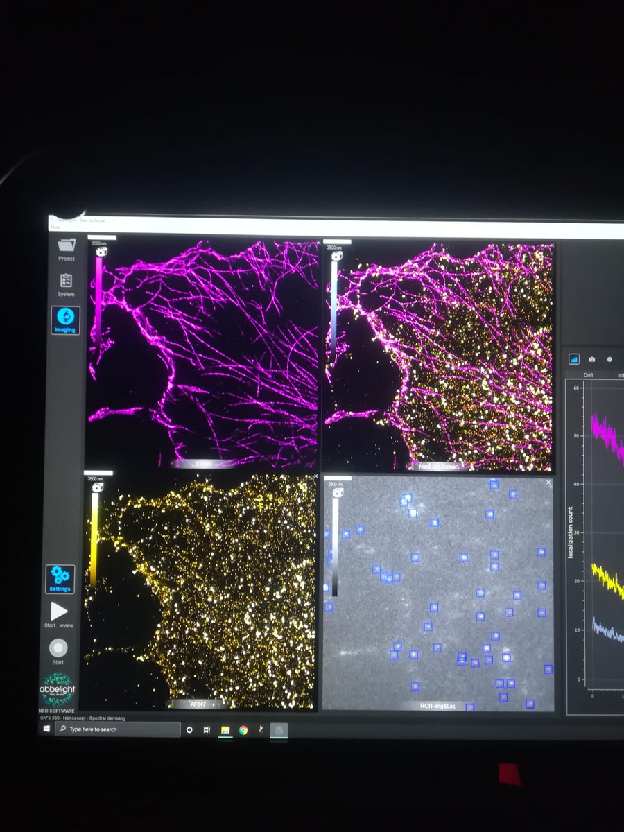 Bourg_N's tweet photo. What a wonderful 3-days visit of @HenriquesLab lab. Thanks again. Really excited about the new partnership between Ricardo's lab and @abbelight.
Thank you @Hannah_SuperRes for your strong support installing #SAFe360 and discussions. https://t.co/lBYEd1vmS4
