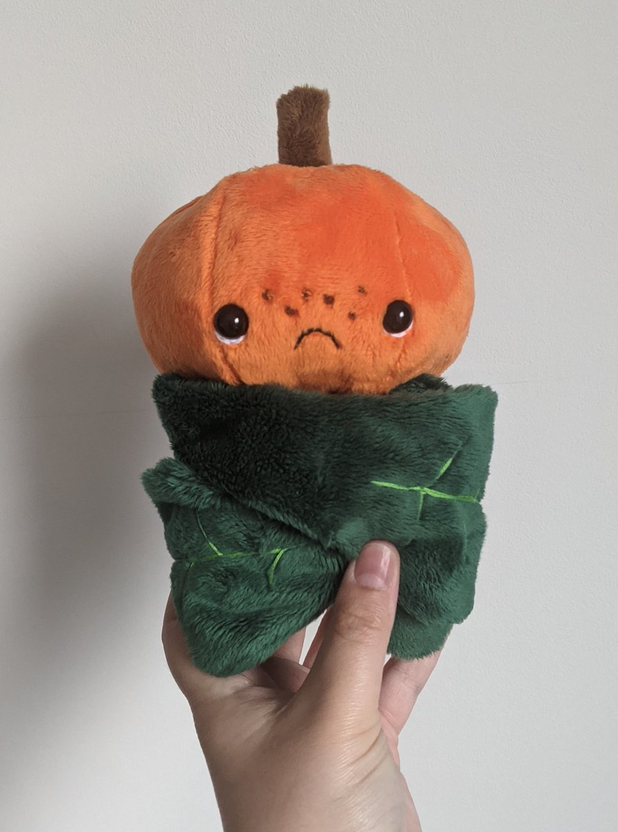 Pip the little pumpkin pal 🎃