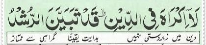 Fizzamunawar2's tweet photo. @MrZainiBhatti1 To mana kb kha wo sai Krti ha
Wo galat krti ha
Lakin islam ma zabardasti nai ha
3rsa para ka first page pe likha  ha
"Deen ma  zabardasti nai"
To wo uska  ur Allah ka mamla
Uski saza Allah dein ga, na ka yeh so called log, jo khud ko muslim khta, 
Lakin kam asa 🙂 https://t.co/kNwiD2XJxk