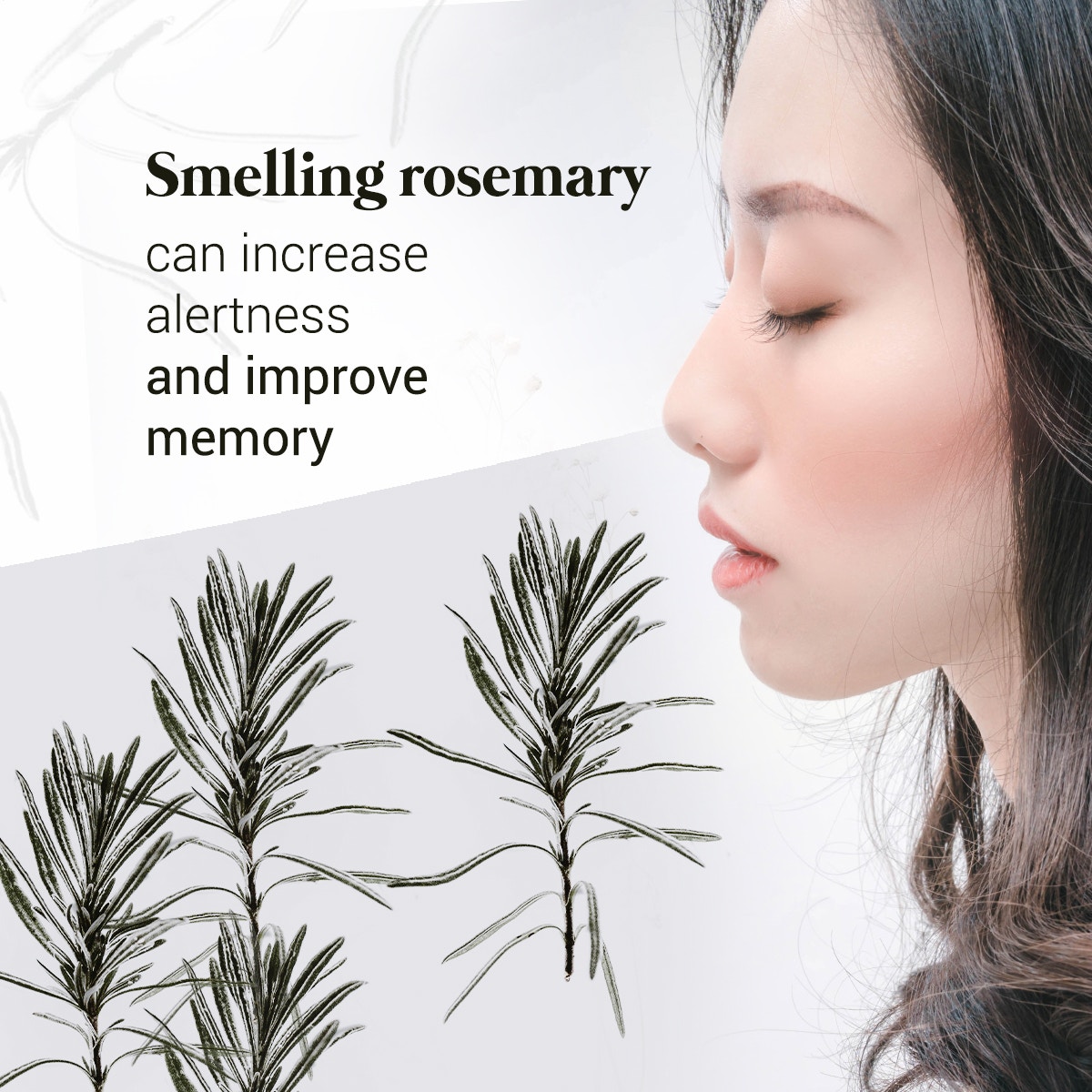 Porsche_LG_Avon's tweet image. Have the case of the #foggies? #FunHealthFact… Smelling #rosemary can increase #alertness and #improve #memory. #HealthierU #avonrep #BossUp #LinkInBio