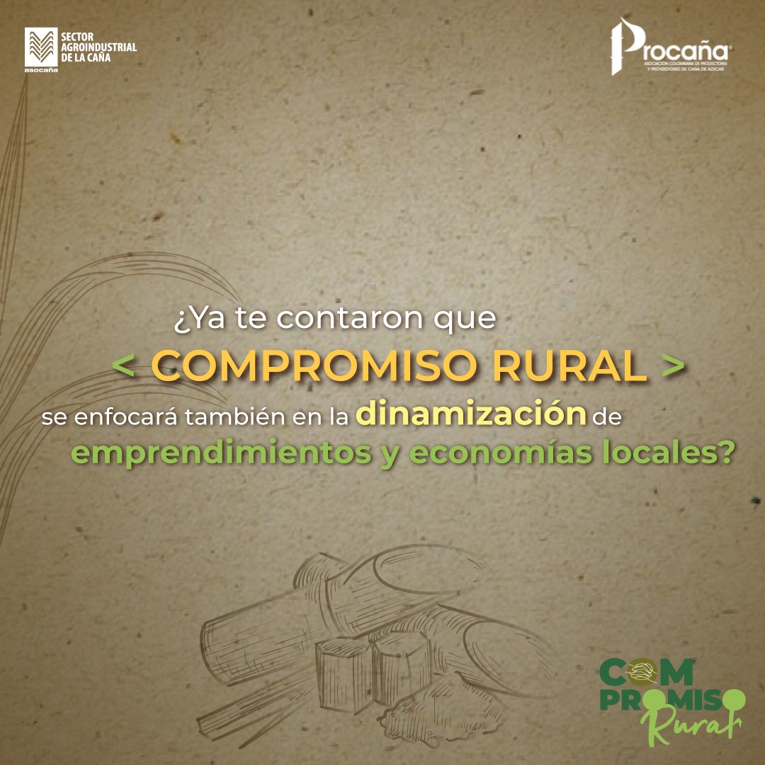 ProcanaCol's tweet photo. Bajo la política pública local, regional y nacional, con aliados públicos y privados, apoyaremos a los emprendedores locales que buscan sacar sus pymes adelante.
Encuentra más información en https://t.co/ugLKDutXIt
#Azucari https://t.co/RIVipLakk1