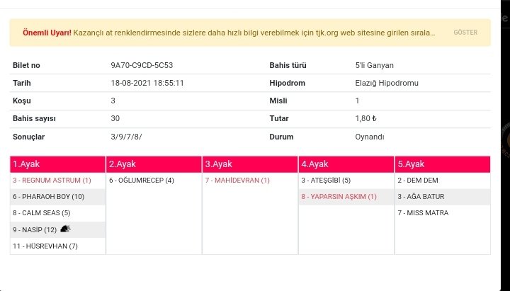 Mehmet Yilmaz (@mehmety86294384) on Twitter photo <a href="/MehmetY86294384/">Mehmet Yilmaz</a> Elazığ dümen oyunum Magnum astrum tek yazacakken macera aramasam Şarkıyı 5 atta yazardım şansıma bu 🍀🍀💚💚 <a href="/MehmetY86294384/">Mehmet Yilmaz</a> Elazığ dümen oyunum Magnum astrum tek yazacakken macera aramasam Şarkıyı 5 atta yazardım şansıma bu 🍀🍀💚💚