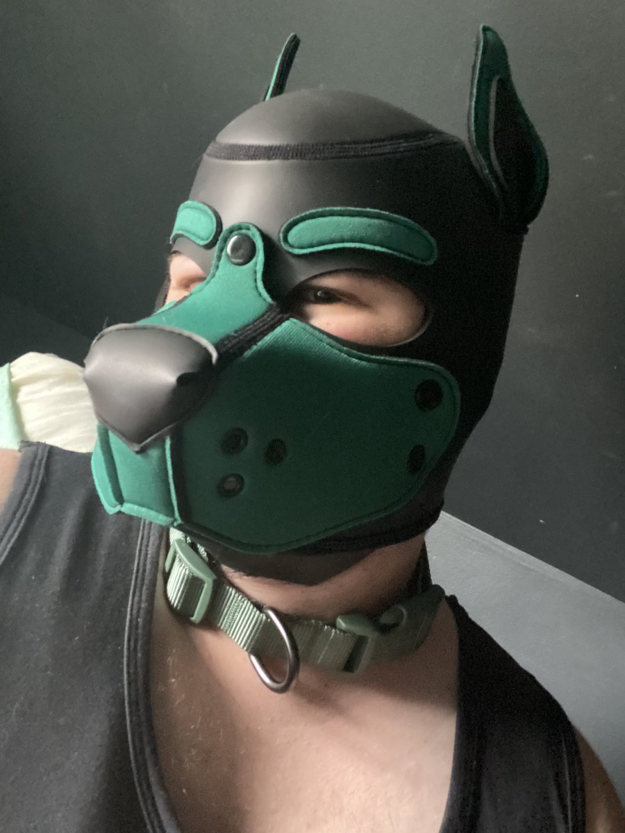 ChunkPup's tweet image. I just remembered my mom getting really mad at me in high school when she caught me wearing a collar because it “looked like some weird sex thing” lmao if only she could see me now