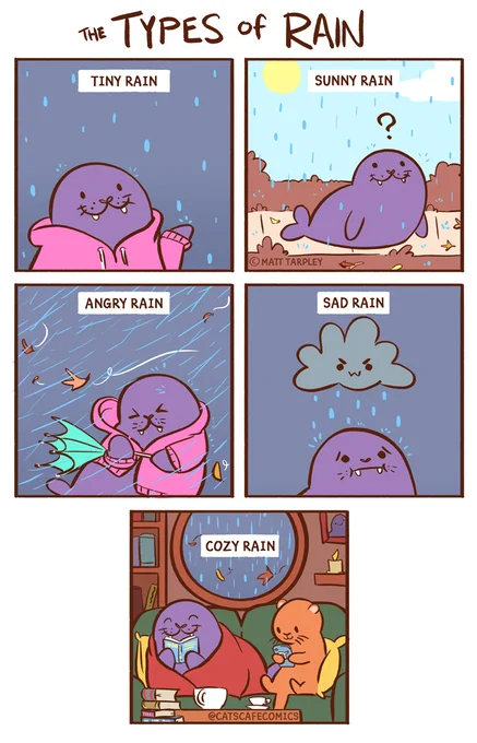 The types of rain 🌧️☔️ #catscafeclassic 
