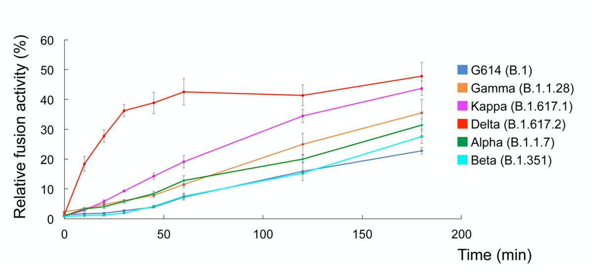 Why is Delta so much more contagious than prior #SARSCoV2 variants?
It achieves membrane fusion far more efficiently and faster
biorxiv.org/content/10.110…