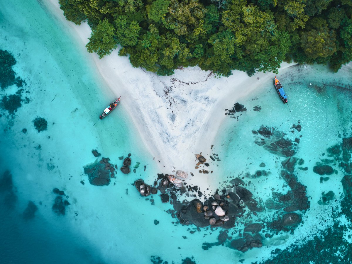 "Tropical Vibes" 🌴 NFT's collection here are some of my favorites ones 👇 only <a href="/opensea/">OpenSea</a> 
opensea.io/collection/tro…